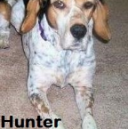 Hunter Rescued 2006-2015